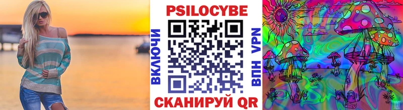 купить сайты Новокубанск Галлюциногенные грибы Magic Shrooms